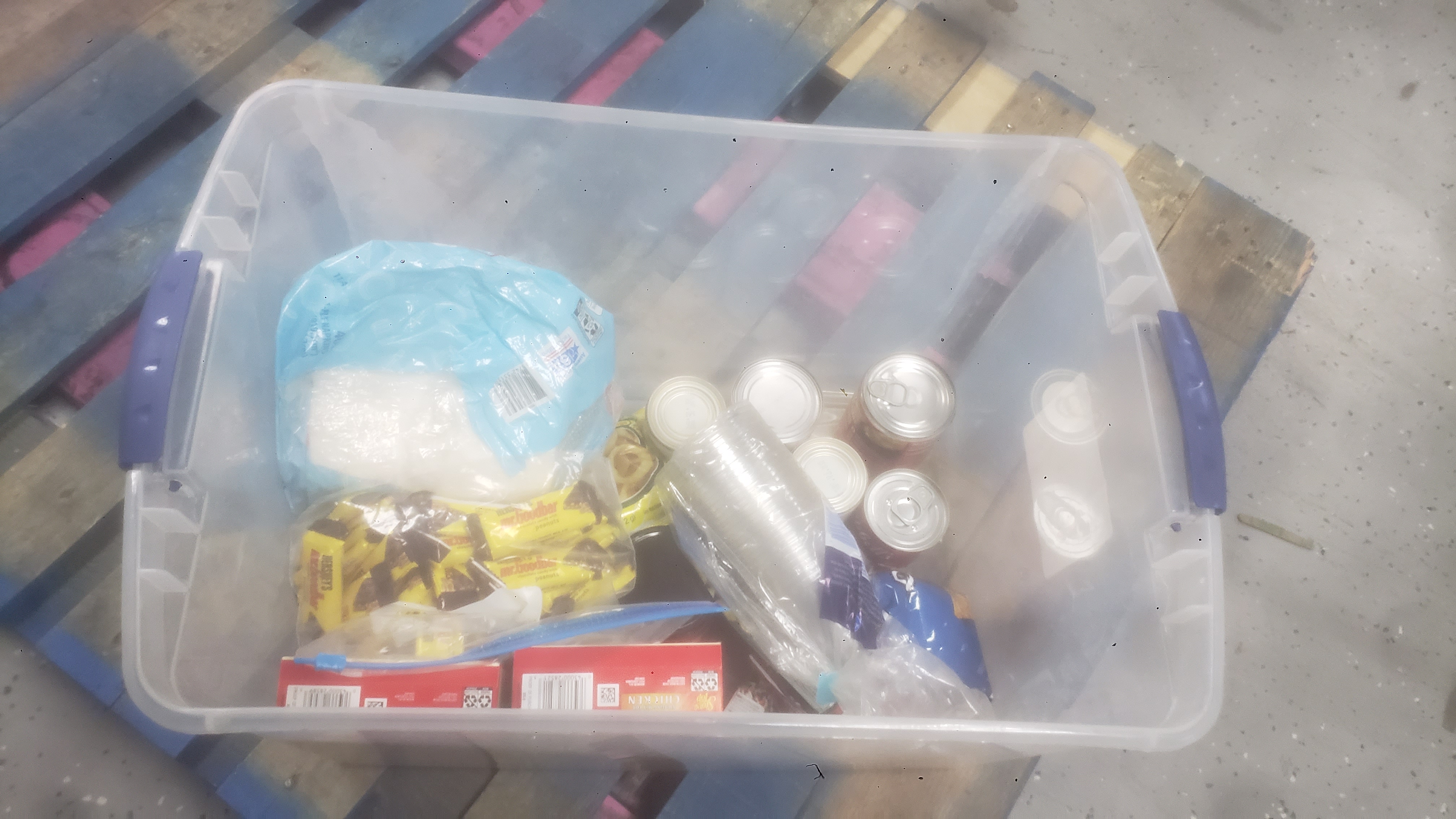 Random things in a plastic storage container.